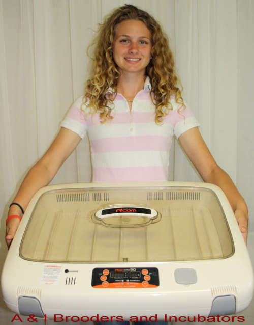 R-com Rcom Max 50 Mx50 Incubator - Image 3