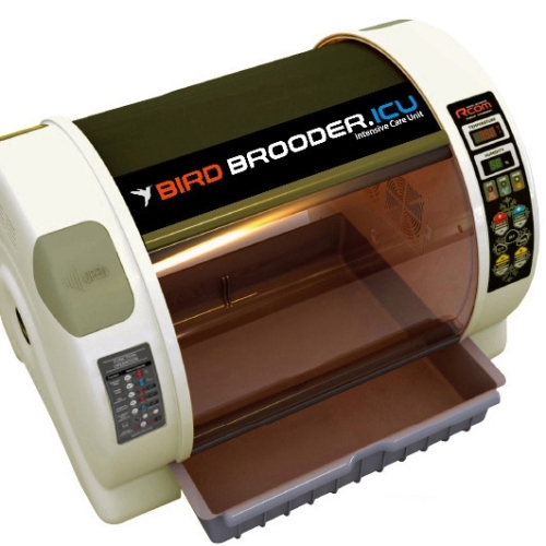 R-com Rcom Bird Avian Brooder Nursery ICU Mx-bs 500 - Image 2